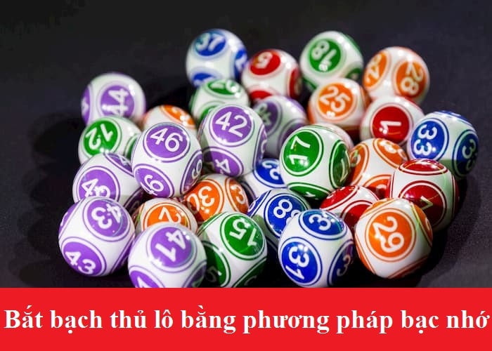 Bí kíp bắt bạch thủ lô bằng phương pháp bạc nhớ