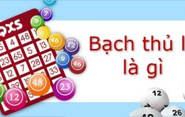 Bạch thủ lô là gì